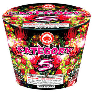 Category 5