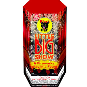 Little Big Show