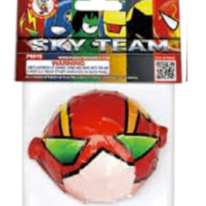 Sky Team P5434