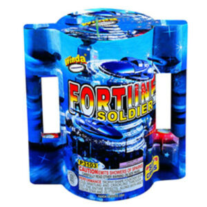 Fortune Soldier