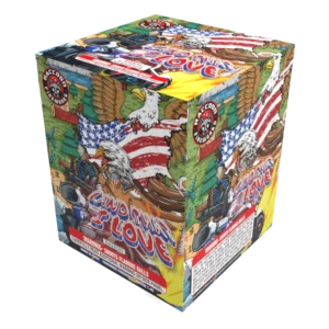 RA22529 RACCOON FIREWORKS LAND THAT I LOVE