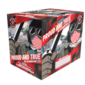 RA530213  RACCOON FIREWORKS THE RED WHITE AND BLUE